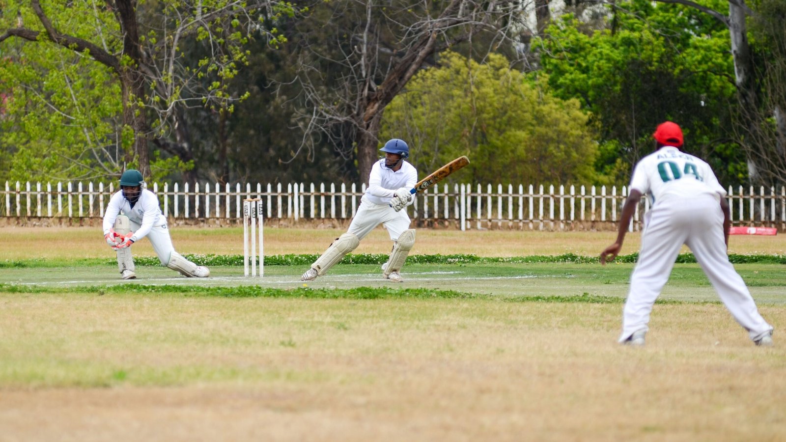 Cricket players in action during a match on a green field